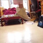 날개달린 <b>컨버스</b>화를 개발했습니다ㅋㅋ날아다녀요 (사진 有)