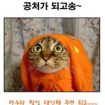 마눌님이 너무 밝혀서 힘들어여