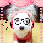 <b>락커</b> 희동이♡