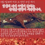5월부터 생필품 어디가서 <b>사다</b>써야 하나?