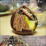 아우 <b>밤</b><b>맛</b>이야.