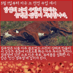 광우병...그 심각성