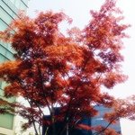 오후시간 시작이네요 점심후~~