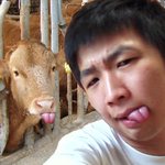 지금 우리나라 소 <b>수입</b> 않할거 같냐???