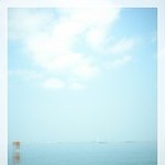 5월 2일 오늘도 즐건하루 되세요^^