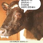 "미친소, 미친 대한민국, 미친 대통령, 미친 <b>사람</b>들, 미친 <b>사회</b>"