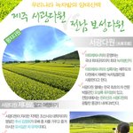 [펌] <b>피부</b>미용에 좋은 녹차, 제주도산 <b>vs</b> 전라도산 비교버전