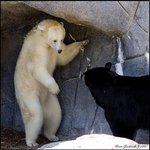 <b>손님</b>키가이정도는되야지<b>입장</b>할수있습니다
