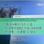 캐나다 소까지 <b>우회</b>수입 이라니 !!!!!!