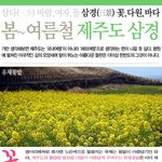 아름다운 제주의 모습..