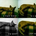 인도냥 <b>오월</b>이~
