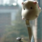 기상 천외 하마의 <b>차력</b>쑈쑈쑈~~~