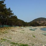 천연기념물 339호 - <b>완도</b> 미라리 상록수림