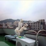 우리집 <b>풍미</b> 풍산이~!!!ㅇ- ㅇ