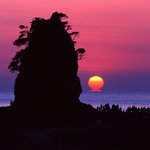 여러분 <b>새해</b> 복많이받으세요{행복한 일 많이 있길 바랍니다}