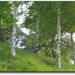 무주리조트에서