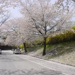 산과 바다 그리고 <b>캠퍼스</b>