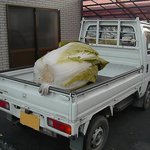 <b>새상</b>에서 재일 큰 배추