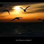 계속 올립<b>니더</b>예6