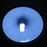 파랗게,회색으로 발광하는 해파리