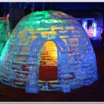 세계<b>얼음</b> 눈꽃축제(홍천)6