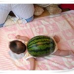 <b>아기</b> <b>거북이</b>