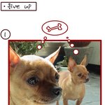 강아지 <b>하품</b> ....-_-;;;;;;;