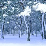 겨울 <b>전경</b>2