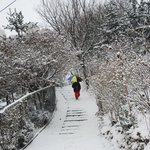 겨울의 <b>향연</b>