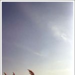 소금창고 엽<b>서버</b>젼 두번째..^^
