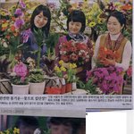 <b>완연</b>한 봄기운..꽃으로 집단장?