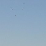 <b>도봉</b> 위(?) 비둘기들