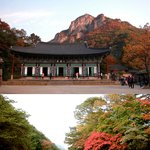 백양사 <b>금성</b>산성 &amp; 담양호
