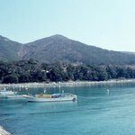 천연기념물 340호 - <b>완도</b> 맹선리 상록수림