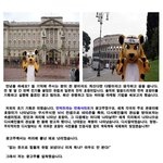 유럽 <b>일주</b> 호랑이...비운의 결말...ㅠ