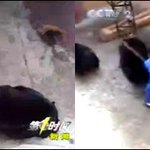 中 동물원은 동물학대소?