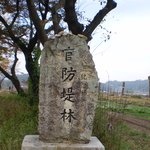 <b>담양</b> 관방제림(官防堤林)-(1)