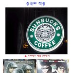 정말 무서운 중국의 <b>짝퉁</b>
