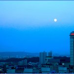 달빛 <b>소나타</b>