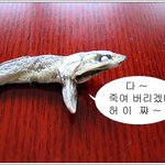 엽기 <b>멸치</b>