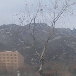 가로수와 <b>관악산</b>의 설경