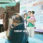 살인미소 바다<b>사자</b> 방울이!
