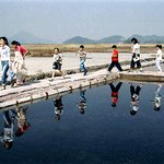 시골은 아니고......<b>염전</b>....^^