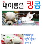 내이름은 <b>킹콩</b>
