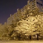 <b>조명</b>이 좋습니다