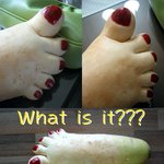 심심<b>풀이</b> 쉬어가는 코스........