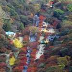 멋찐 <b>단풍</b>여행~