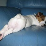 자세가 너무 <b>요염</b>해요