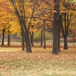 <b>양화</b>대교북단의 불출입공원