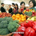 컬러 푸드 제<b>안전</b>